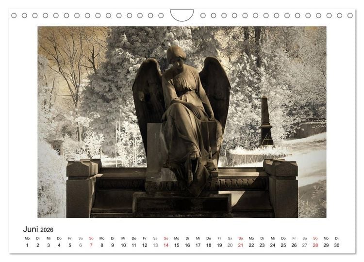 Produktbild: your guardian angel - Dein Schutzengel f&uuml;r jeden Tag (Wandkalender 2026 DIN A4 quer), CALVENDO Monatskalender