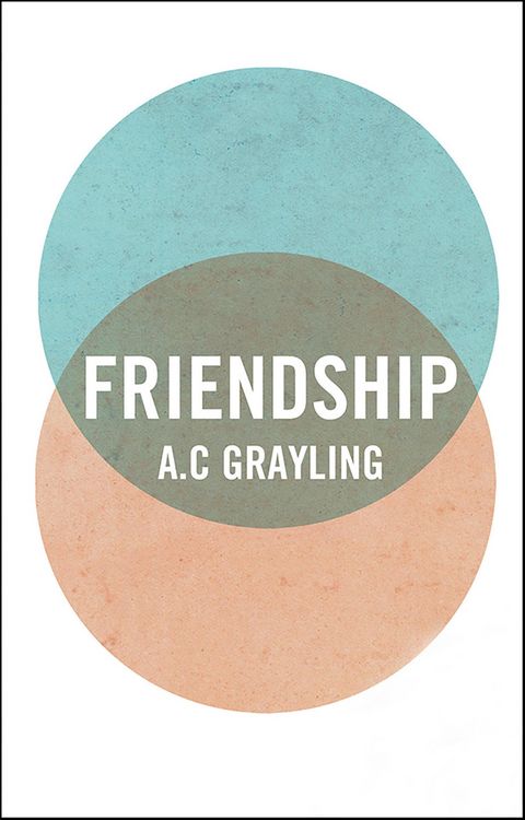 Produktbild: Friendship
