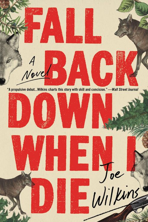 Produktbild: Fall Back Down When I Die