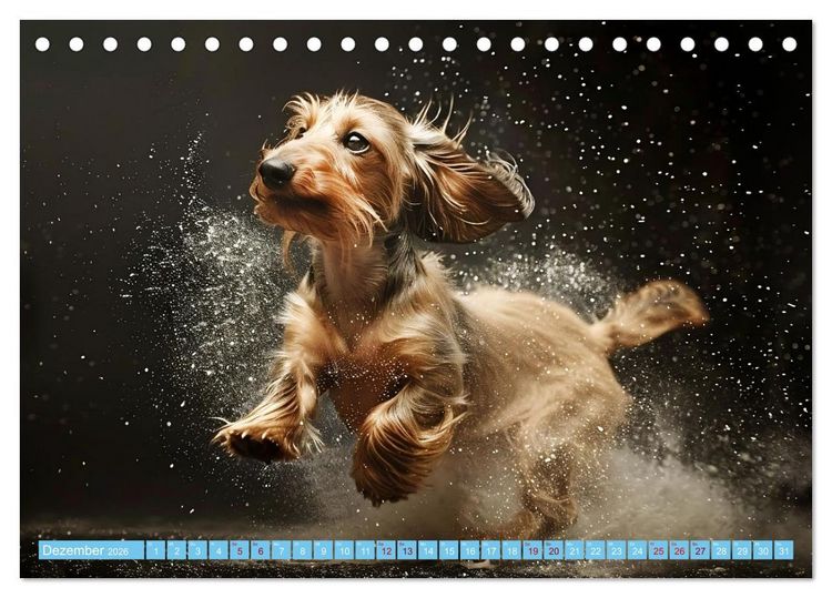 Produktbild: Hunde und Wasser (Tischkalender 2026 DIN A5 quer), CALVENDO Monatskalender