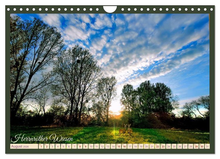 Produktbild: Dreieich Natur Pur (Wandkalender 2026 DIN A4 quer), CALVENDO Monatskalender