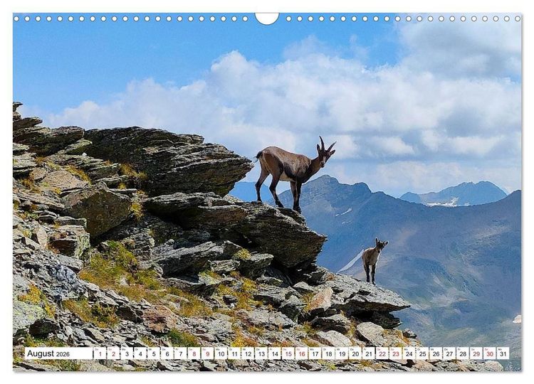 Produktbild: Majest&auml;tische Alpen (Wandkalender 2026 DIN A3 quer), CALVENDO Monatskalender