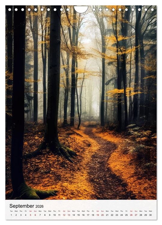 Produktbild: Dreamscapes of the Forest (Wall Calendar 2026 DIN A4 portrait), CALVENDO 12 Month Wall Calendar