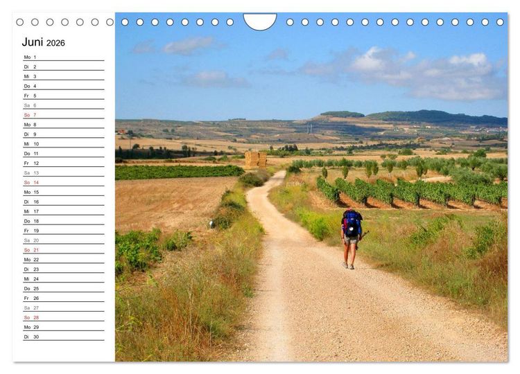 Produktbild: Jakobsweg - Camino Frances (Wandkalender 2026 DIN A4 quer), CALVENDO Monatskalender
