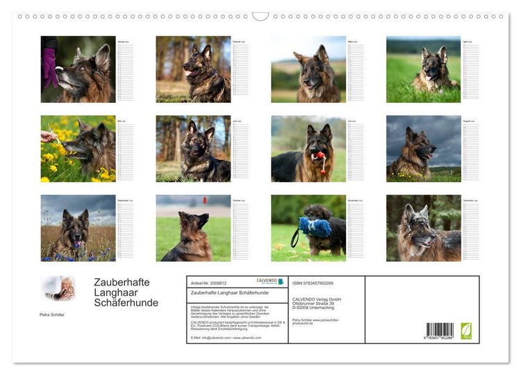 Produktbild: Zauberhafte Langhaar Sch&auml;ferhunde (Wandkalender 2026 DIN A2 quer), CALVENDO Monatskalender