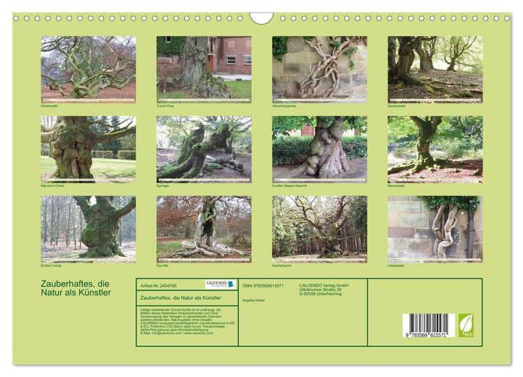 Produktbild: Zauberhaftes, die Natur als K&uuml;nstler (Wandkalender 2027 DIN A3 quer), CALVENDO Monatskalender