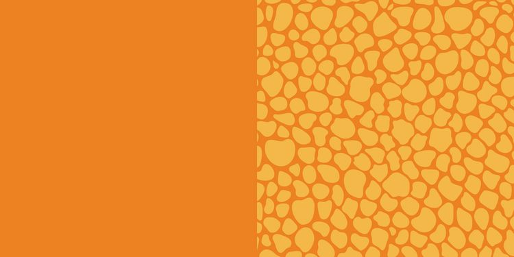 Produktbild: 88 x Origami Kids &ndash; Dino Fun
