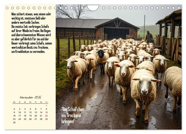 Produktbild: Illustrierte deutsche Redewendungen mit ihrer Bedeutung (Wandkalender 2026 DIN A4 quer), CALVENDO Monatskalender