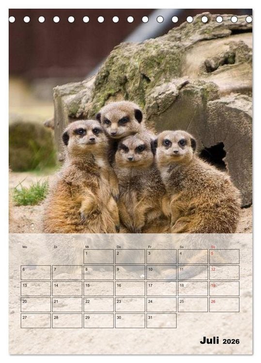Produktbild: Erdm&auml;nnchen - Afrikas liebenswerte Zwerge (Tischkalender 2026 DIN A5 hoch), CALVENDO Monatskalender