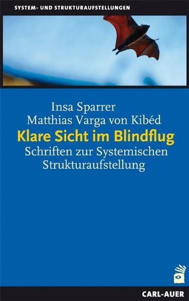 Produktbild: Klare Sicht im Blindflug