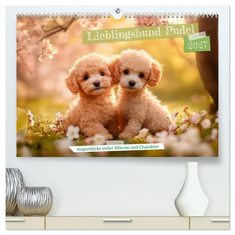 Produktbild: Lieblingshund Pudel (hochwertiger Premium Wandkalender 2027 DIN A2 quer), Kunstdruck in Hochglanz