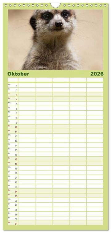 Produktbild: Familienplaner 2026 - Erdm&auml;nnchen mit 5 Spalten (Wandkalender, 21 x 45 cm) CALVENDO