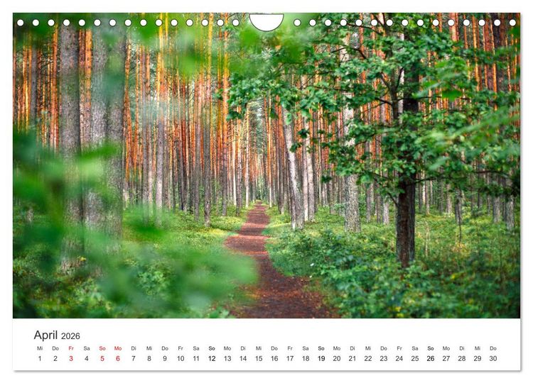 Produktbild: Weisheit - Der Weg ist das Ziel (Wandkalender 2026 DIN A4 quer), CALVENDO Monatskalender