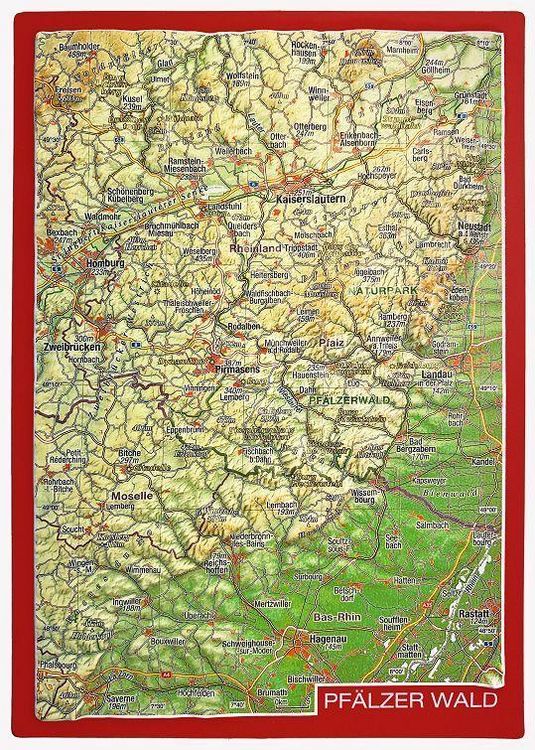 Produktbild: Reliefpostkarte Pf&auml;lzer Wald