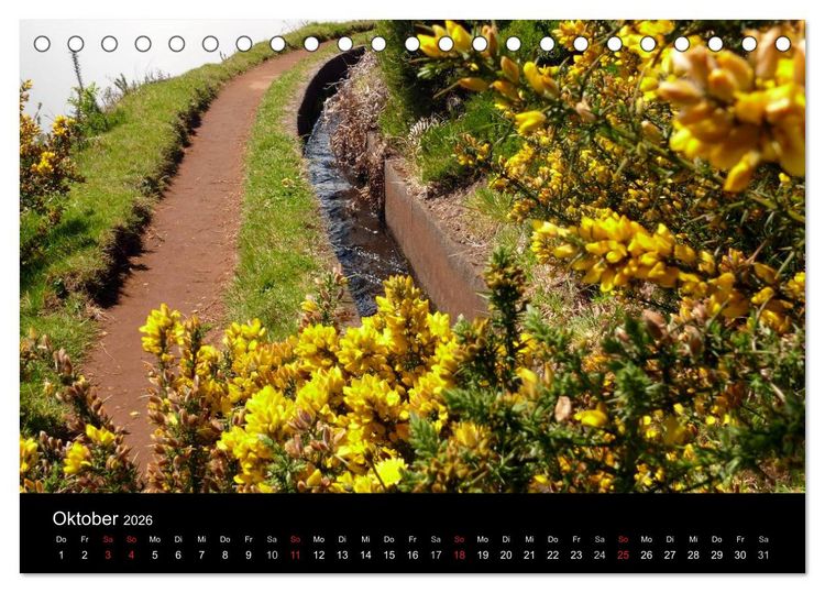 Produktbild: Madeira 2026 (Tischkalender 2026 DIN A5 quer), CALVENDO Monatskalender