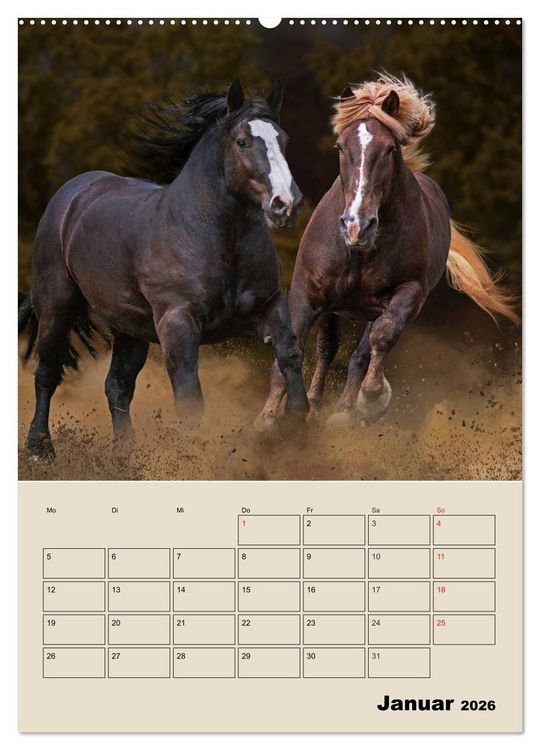 Produktbild: Pferdetr&auml;umereien - Traumbilder von Traumpferden (Wandkalender 2026 DIN A2 hoch), CALVENDO Monatskalender