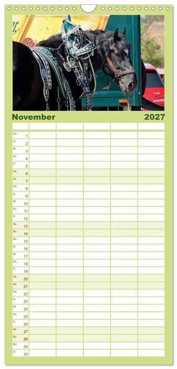 Produktbild: Familienplaner 2027 - Schwere Pferde mit 5 Spalten (Wandkalender, 21 x 45 cm) CALVENDO
