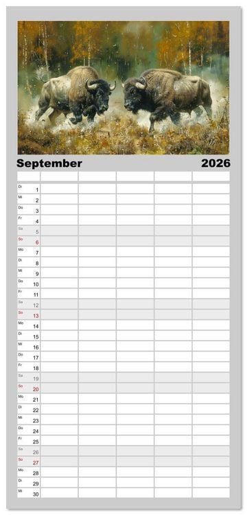 Produktbild: Familienplaner 2026 - Wilde Rinder mit 5 Spalten (Wandkalender, 21 x 45 cm) CALVENDO