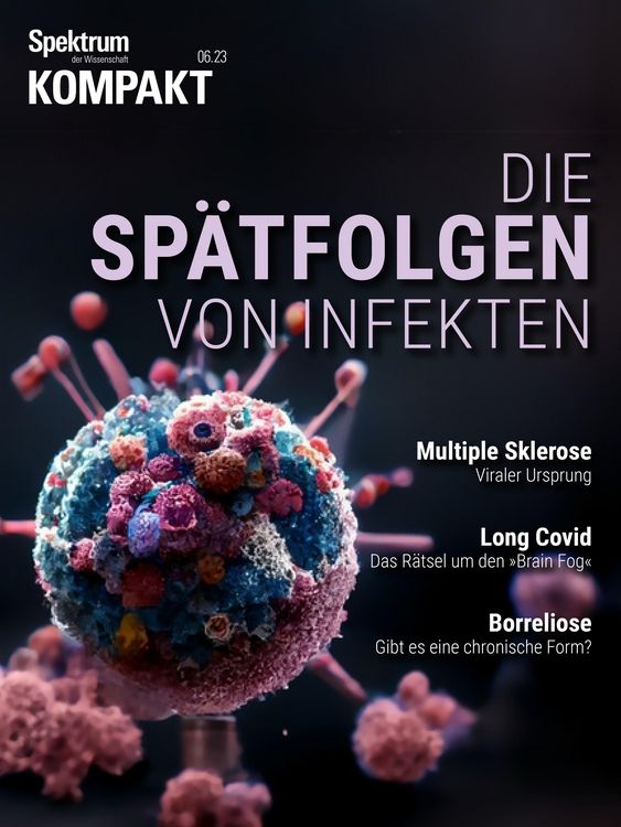 Produktbild: Spektrum Kompakt - Die Sp&auml;tfolgen von Infekten