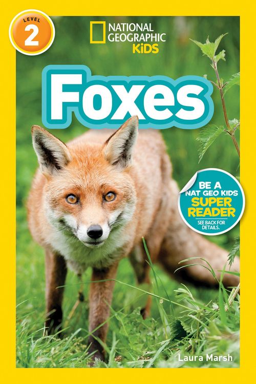 Produktbild: Foxes (National Geographic Kids Readers, Level 2)
