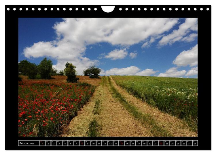 Produktbild: Roter Mohn, bunte Wiesen (Wandkalender 2026 DIN A4 quer), CALVENDO Monatskalender