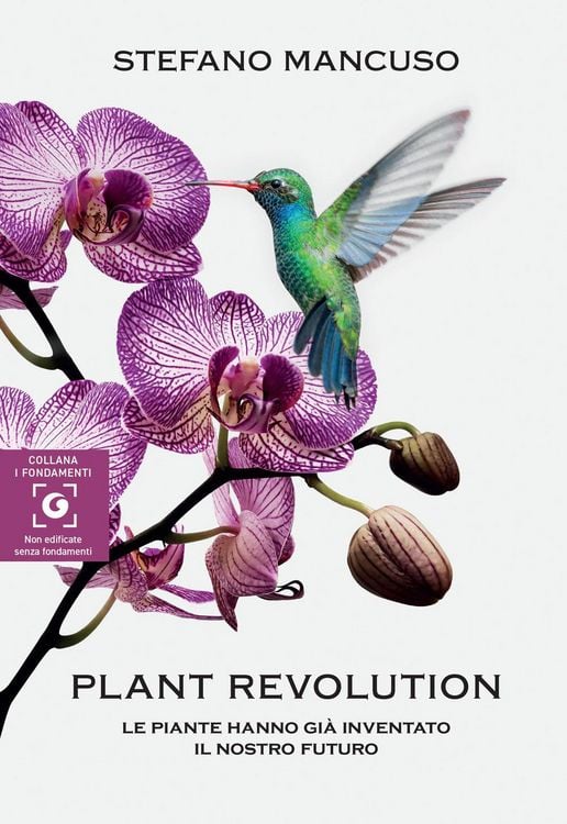 Produktbild: Plant revolution. Le piante hanno gi&agrave; inventato il nostro futuro