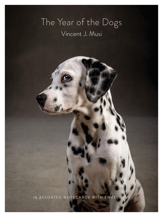 Produktbild: The Year of the Dogs Notecards