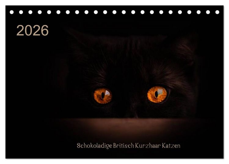 Produktbild: Schokoladige Britisch Kurzhaar Katzen (Tischkalender 2026 DIN A5 quer), CALVENDO Monatskalender