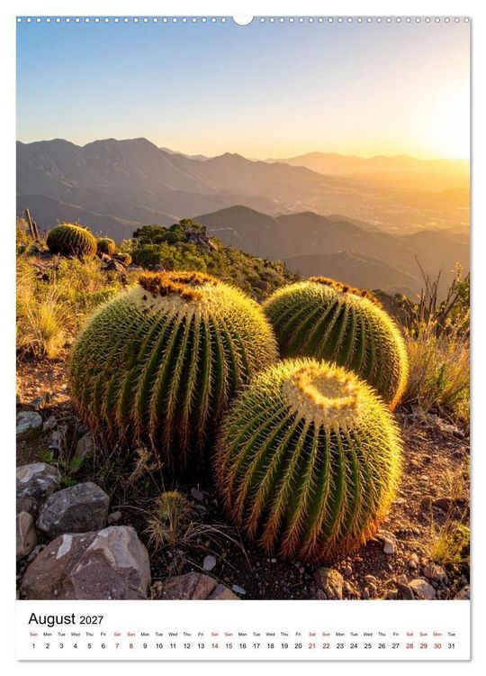 Produktbild: Beautiful Spiky Balls (Wall Calendar 2027 DIN A2 portrait), CALVENDO 12 Month Wall Calendar
