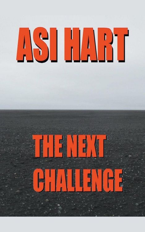 Produktbild: The Next Challenge