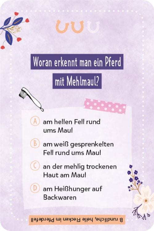 Kartenspiel: Das pferdestarke Quiz von den beliebten Social-Media-Stars Lia und Lea - # ponylife
