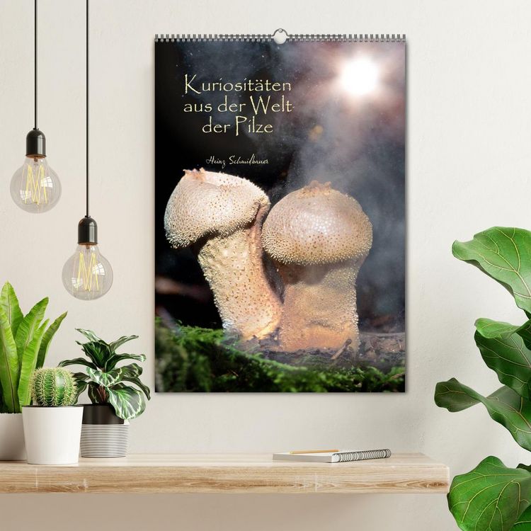 Produktbild: Kuriosit&auml;ten aus der Welt der Pilze (Wandkalender 2026 DIN A2 hoch), CALVENDO Monatskalender