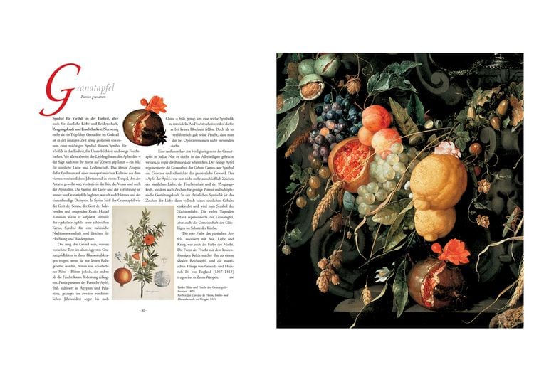 Produktbild: Die Sprache der Blumen. Pflanzen und ihre symbolische Bedeutung