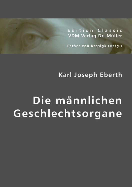 Produktbild: Die m&auml;nnlichen Geschlechtsorgane