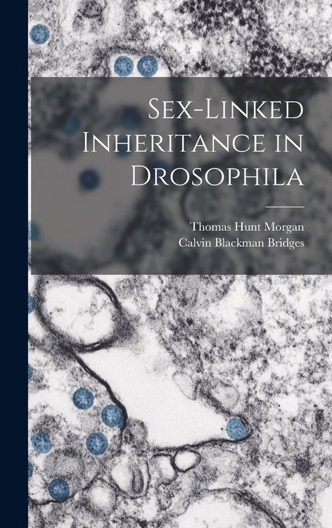 Produktbild: Sex-Linked Inheritance in Drosophila
