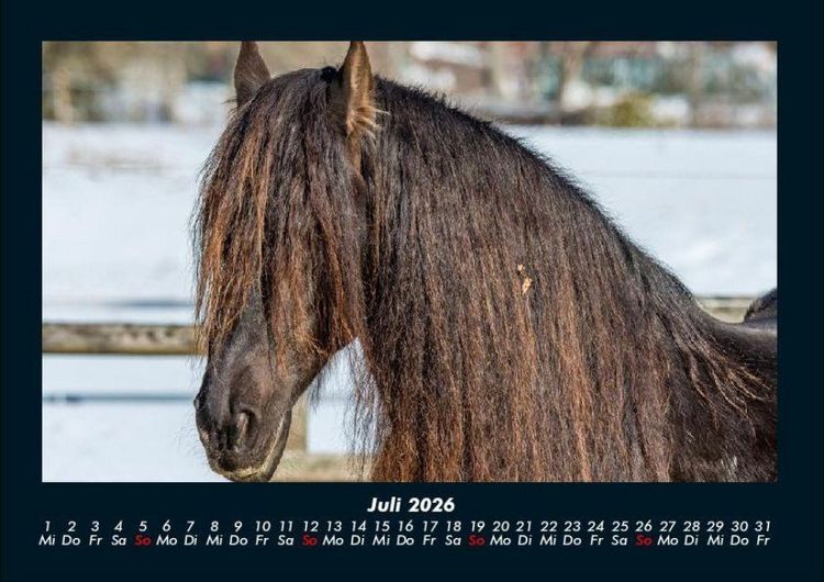 Produktbild: Die Welt der Pferde 2026 Fotokalender DIN A4
