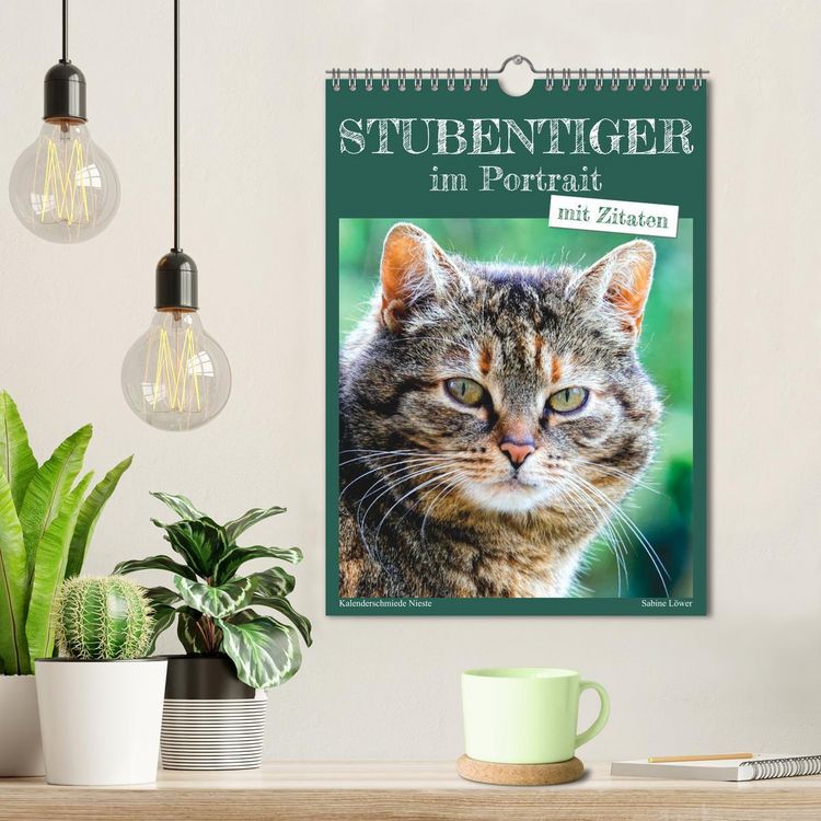 Produktbild: Stubentiger im Portrait (Wandkalender 2026 DIN A4 hoch), CALVENDO Monatskalender