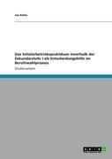 Produktbild: Das Sch&uuml;lerbetriebspraktikum innerhalb der Sekundarstufe I als Entscheidungshilfe im Berufswahlprozess