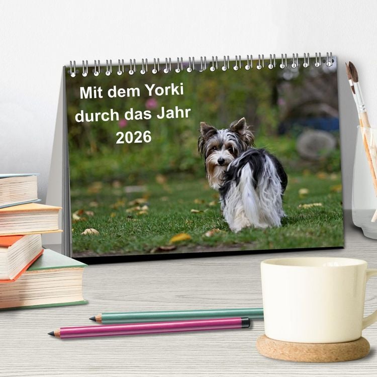 Produktbild: Mit dem Yorki durch das Jahr 2026 (Tischkalender 2026 DIN A5 quer), CALVENDO Monatskalender