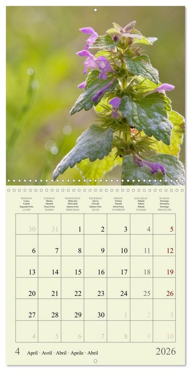 Produktbild: Petites fleurs color&eacute;es (Calendrier mural carr&eacute; 2026 30x30 cm) Calendrier double avec une page pour vos prises de notes