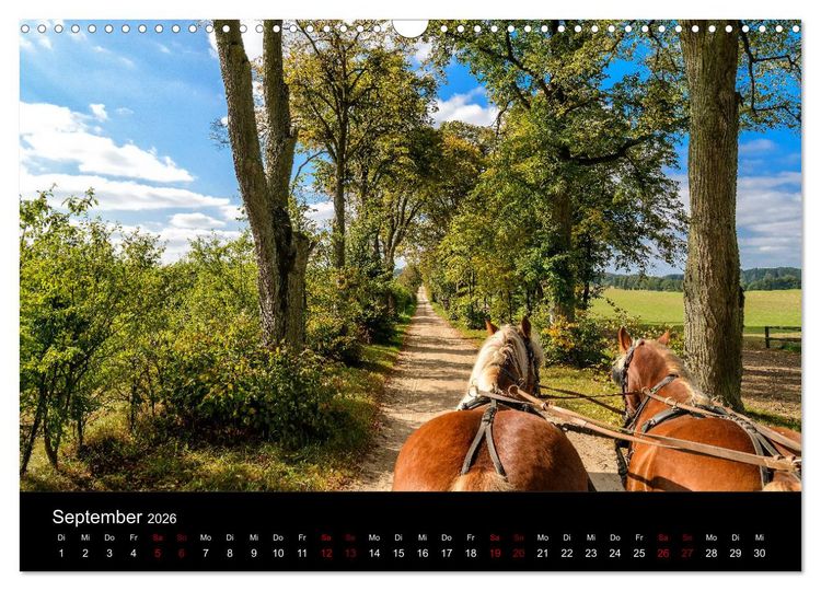 Produktbild: Polen - Reise durch unser sch&ouml;nes Nachbarland (Wandkalender 2026 DIN A3 quer), CALVENDO Monatskalender
