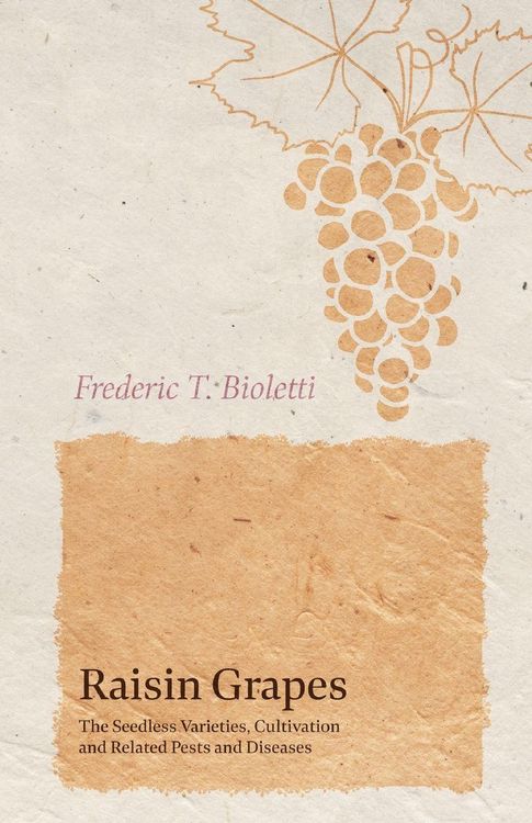 Produktbild: Raisin Grapes - The Seedless Varieties, Cultivation and Related Pests and Diseases