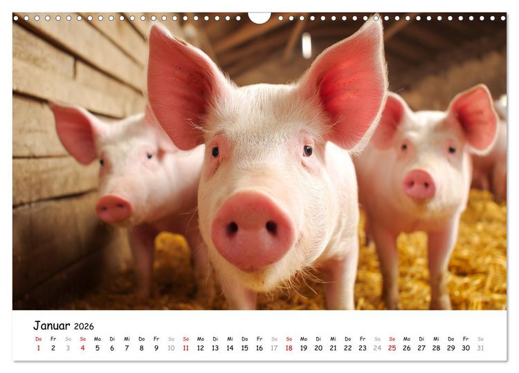 Produktbild: Hans der Bauer und seine Tiere auf dem Bauernhof (Wandkalender 2026 DIN A3 quer), CALVENDO Monatskalender
