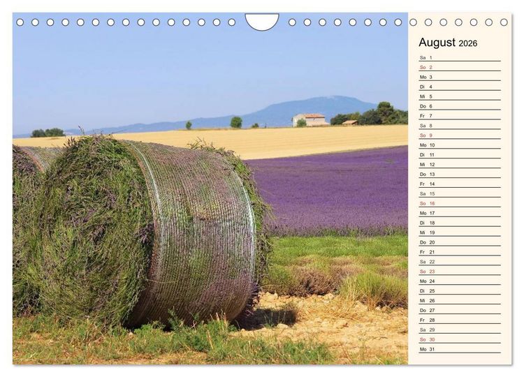 Produktbild: Lavendel (Wandkalender 2026 DIN A4 quer), CALVENDO Monatskalender