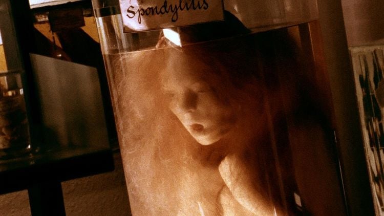 Produktbild: Geister: Die komplette Serie (Lars von Trier) [7 DVDs]