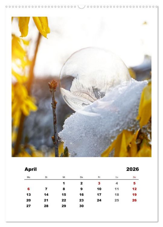 Produktbild: Frostige Seifenblasen (hochwertiger Premium Wandkalender 2026 DIN A2 hoch), Kunstdruck in Hochglanz