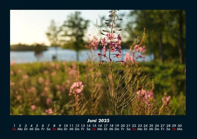 Produktbild: Blumenkalender 2025 Fotokalender DIN A4