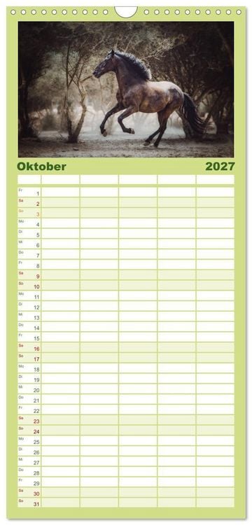 Produktbild: Familienplaner 2027 - Die Faszinierende Welt der Pferde mit 5 Spalten (Wandkalender, 21 x 45 cm) CALVENDO