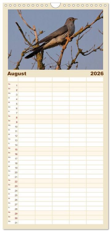 Produktbild: Familienplaner 2026 - V&ouml;gel ganz nah mit 5 Spalten (Wandkalender, 21 x 45 cm) CALVENDO