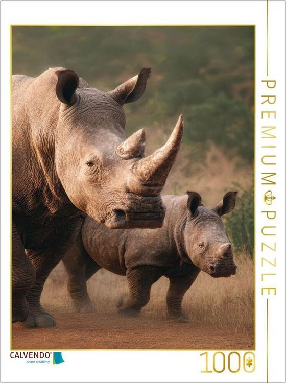 Produktbild: CALVENDO Puzzle Familienausflug | 1000 Teile Lege-Gr&ouml;&szlig;e 64x48cm Foto-Puzzle f&uuml;r gl&uuml;ckliche Stunden